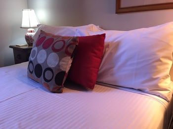 Boronia Lodge Burwood - Hervey Bay Accommodation 39