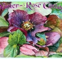 A Winter-rose Cottage BampB - Hervey Bay Accommodation