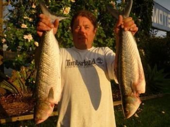 Edgewater Motel Ulladulla - Tourism Hervey Bay 9