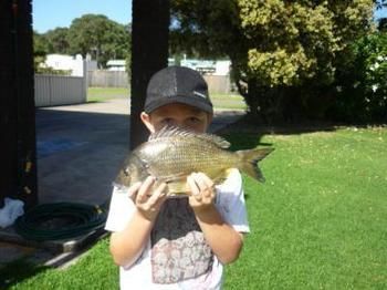 Edgewater Motel Ulladulla - Tourism Hervey Bay 10