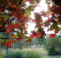 Elfin Hill Country Accommodation - Hervey Bay Accommodation