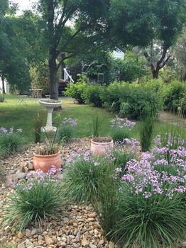 Yarraglen BnB - Hervey Bay Accommodation 19