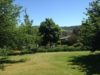 Yarraglen BnB - Hervey Bay Accommodation 27