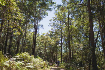 Bawley Bush Retreat And Cottages - Hervey Bay Accommodation 9