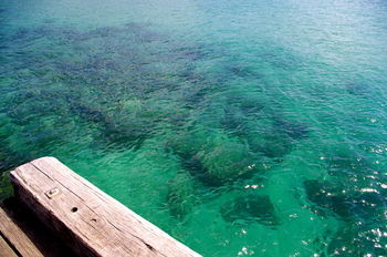 Bawley Bush Retreat And Cottages - Hervey Bay Accommodation 39