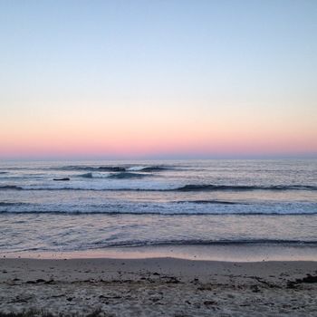 Bawley Bush Retreat And Cottages - Hervey Bay Accommodation 40