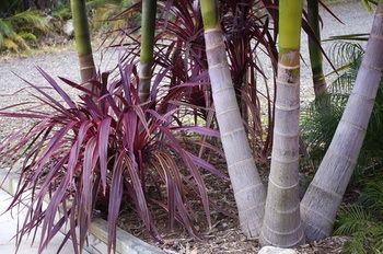 Bawley Bush Retreat And Cottages - Hervey Bay Accommodation 42