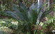 Bawley Bush Retreat And Cottages - thumb 46