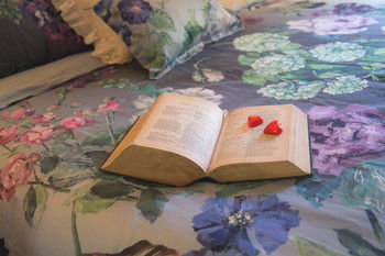 The Heart Of Emerald Bed & Breakfast - Hervey Bay Accommodation 9