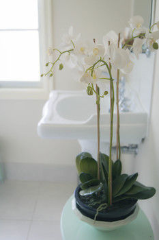 The Heart Of Emerald Bed & Breakfast - Hervey Bay Accommodation 30