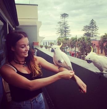 Boardrider Hostel/Backpacker & Budget Motel - Hervey Bay Accommodation 3
