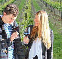 Valley Farm Vineyard Cottages - Hervey Bay Accommodation