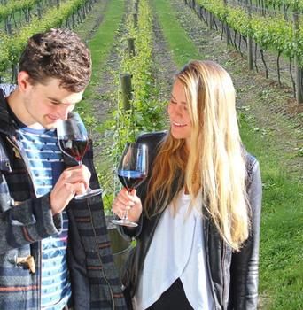 Valley Farm Vineyard Cottages - Hervey Bay Accommodation 0