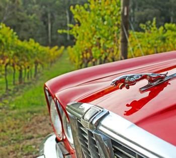 Valley Farm Vineyard Cottages - Hervey Bay Accommodation 1
