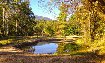 Valley Farm Vineyard Cottages - Hervey Bay Accommodation 3