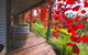Valley Farm Vineyard Cottages - thumb 5