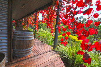 Valley Farm Vineyard Cottages - Hervey Bay Accommodation 5
