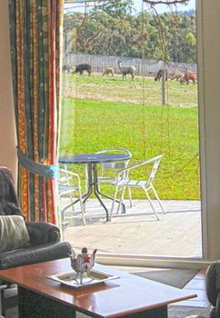 Valley Farm Vineyard Cottages - Hervey Bay Accommodation 9
