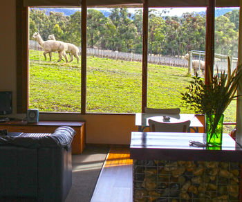 Valley Farm Vineyard Cottages - Hervey Bay Accommodation 17