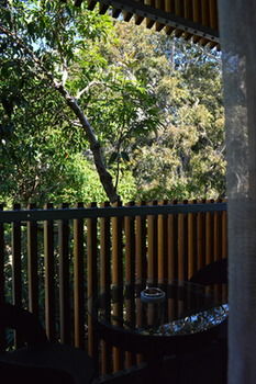 Melrose Apartments - Hervey Bay Accommodation 8