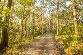 Alaya Verde - Hervey Bay Accommodation 34