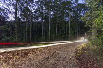 Alaya Verde - Hervey Bay Accommodation 39