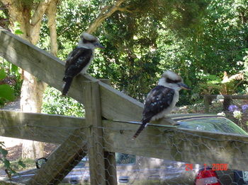 Stones Throw Cottage Bed & Breakfast - Hervey Bay Accommodation 4
