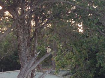 Huskisson Beach Bed And Breakfast - Hervey Bay Accommodation 7