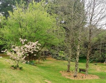 Bethany Manor - Tourism Hervey Bay 3