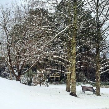 Bethany Manor - Tourism Hervey Bay 48