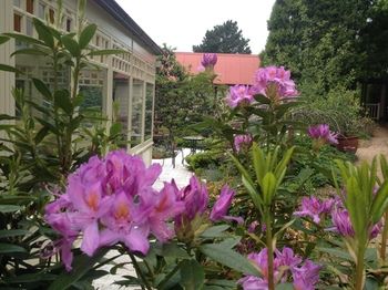 Bethany Manor - Tourism Hervey Bay 52