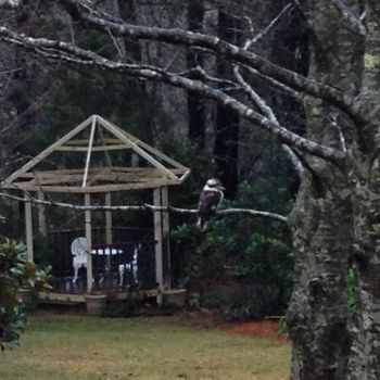 Bethany Manor - Tourism Hervey Bay 53