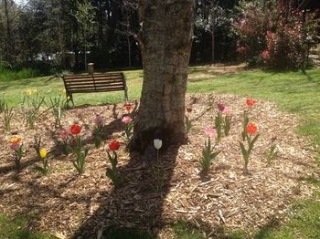 Bethany Manor - Tourism Hervey Bay 57