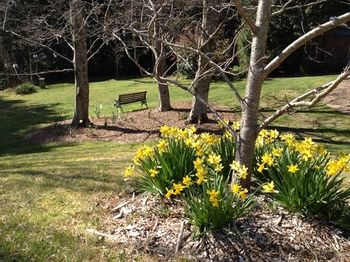 Bethany Manor - Tourism Hervey Bay 63