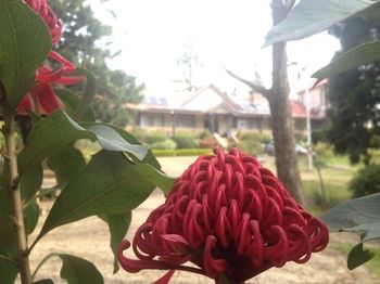 Bethany Manor - Tourism Hervey Bay 64