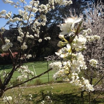 Bethany Manor - Tourism Hervey Bay 65