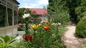 Bethany Manor - Tourism Hervey Bay 71