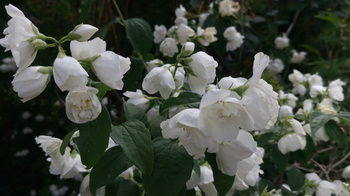 Bethany Manor - Tourism Hervey Bay 73