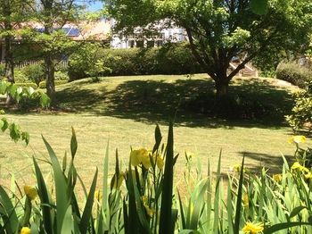 Bethany Manor - Tourism Hervey Bay 90