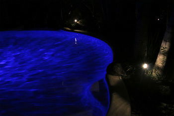 Alaya Escape - Hervey Bay Accommodation 34