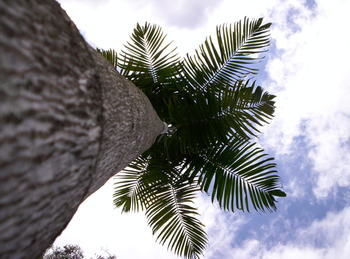 Alaya Escape - Hervey Bay Accommodation 39