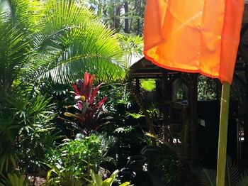 Alaya Escape - Hervey Bay Accommodation 53