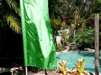 Alaya Escape - Hervey Bay Accommodation 54