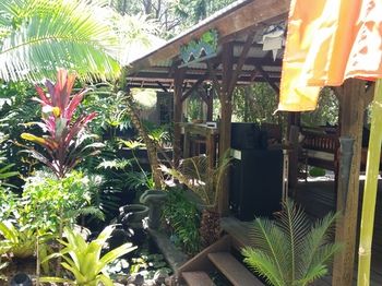 Alaya Escape - Hervey Bay Accommodation 55