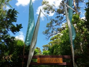 Alaya Escape - Hervey Bay Accommodation 56