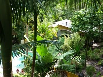 Alaya Escape - Hervey Bay Accommodation 61