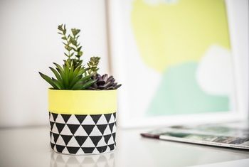 Apartment2c - Metro - Tourism Hervey Bay 12