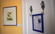 Cutmore Cottages - Bagala Bungalow - thumb 9