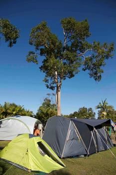 BIG4 Solitary Islands Resort - Caravan Park - Hervey Bay Accommodation 26