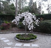 Corner Manor Leura - Tourism Hervey Bay